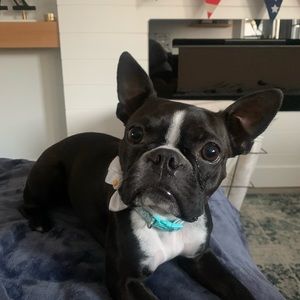 Meet your Posher, Natalia